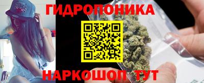 СК Донской