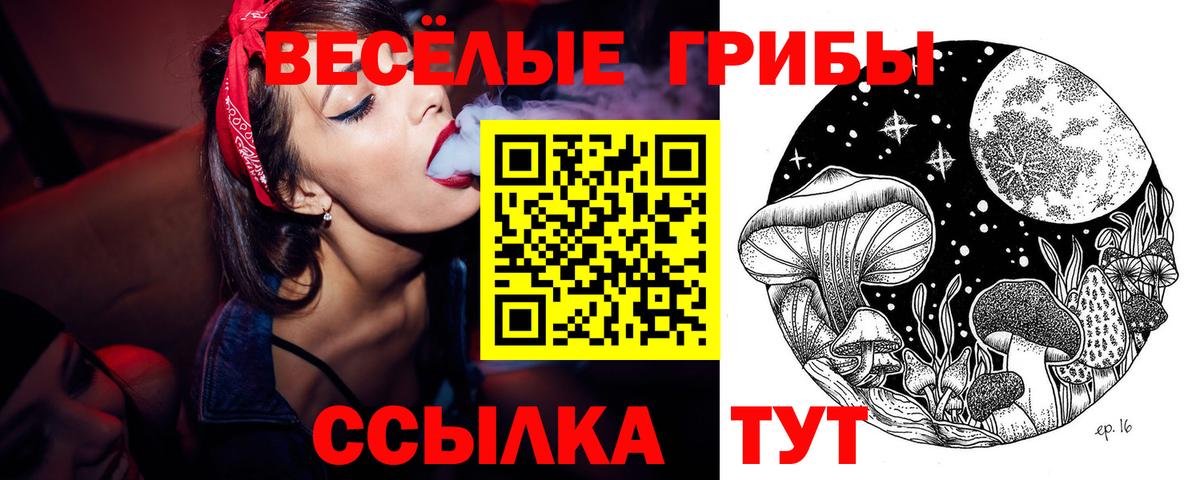 Галлюциногенные грибы MAGIC MUSHROOMS  Вход с VPN  Моздок 
